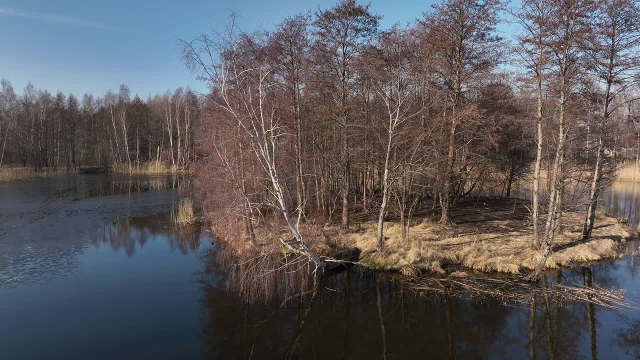 A small island in a pond, there are trees that remain leafless even in spring. Aerial view.