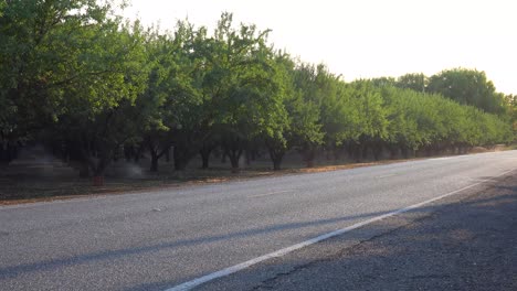 los almendros se riegan en un campo de california durante un período de sequía