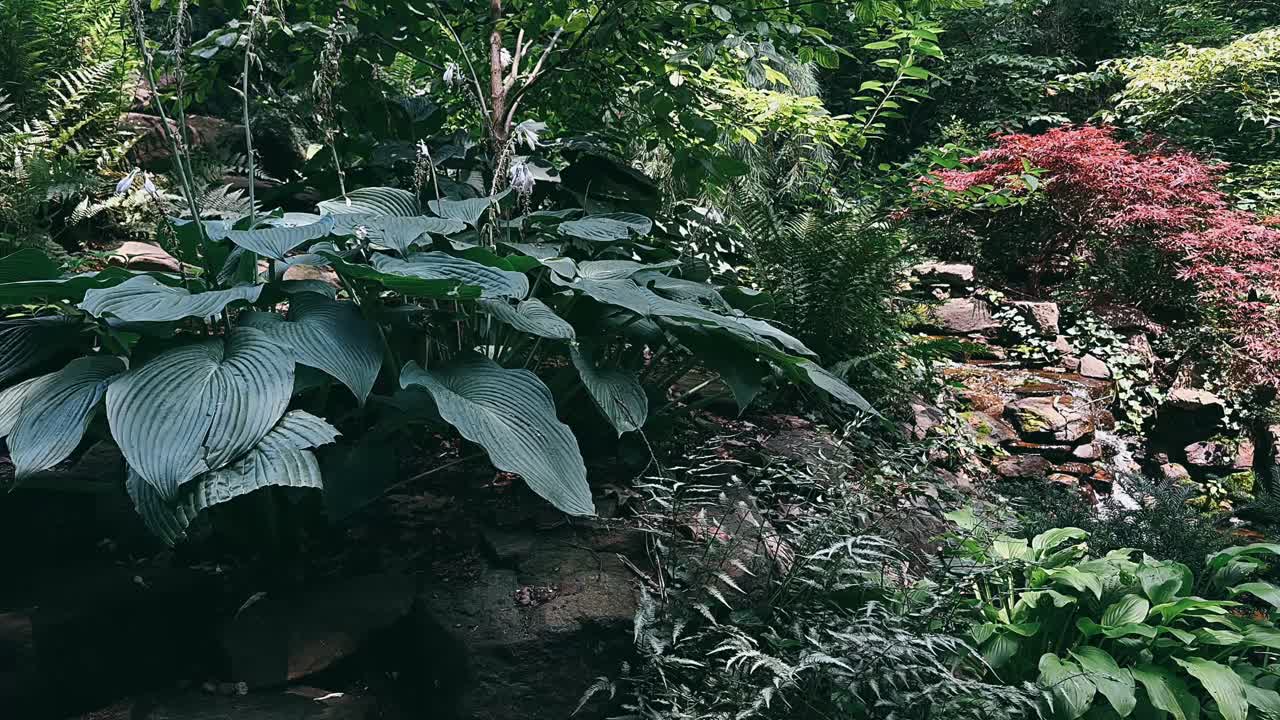 jardín tranquilo con arroyo y vegetación exuberante