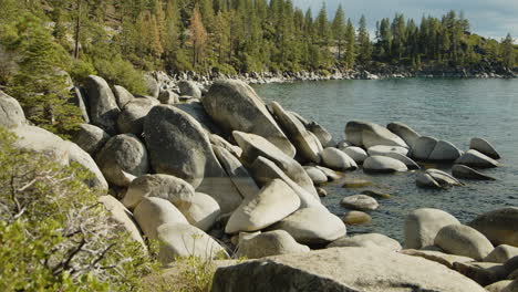 serene lake shore with rocks and pine trees