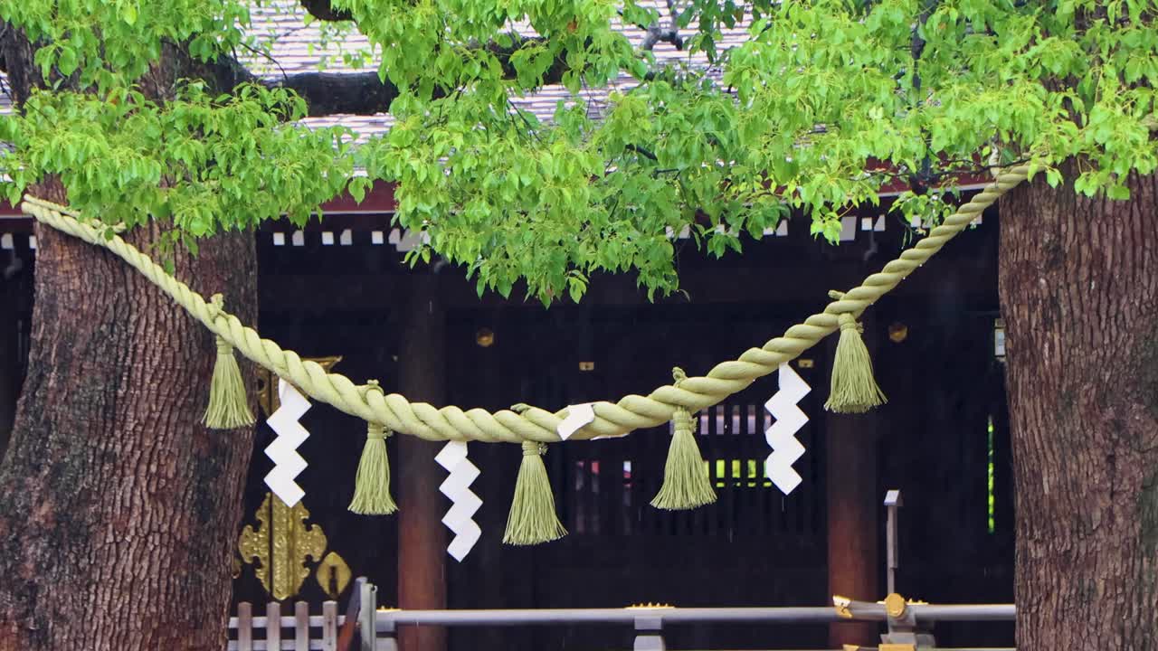 도쿄 최고의 전망