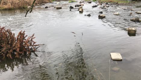 un cuerpo de agua contaminado en un parque de primavera. corrientes de agua fluyen a través de alcantarillas de hormigón.