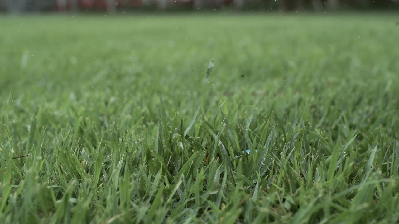 Golf club hits a white golf ball in a super slow motion. Drops of morning dew and grass particles rise into the air after the impact. Shot on super slow motion camera 1000 fps.