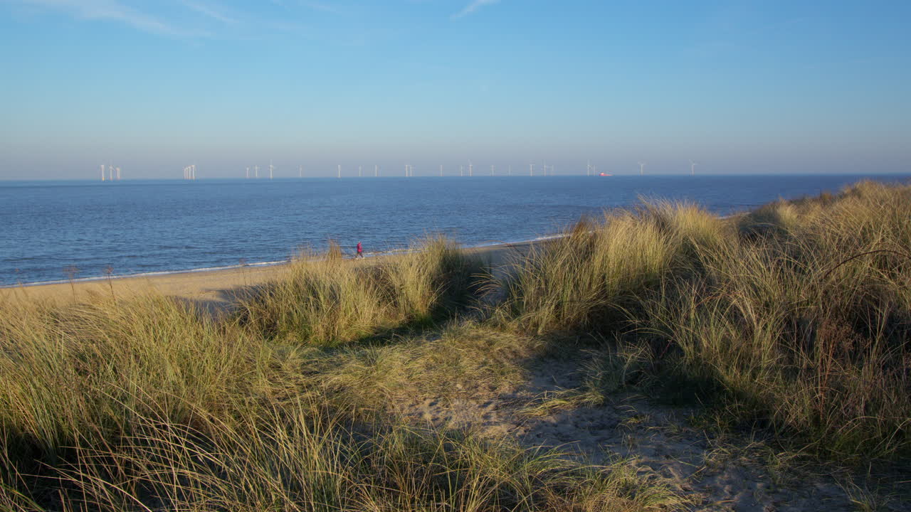 shots looking east of the sand dunes and Marram grass at Caister on Sea