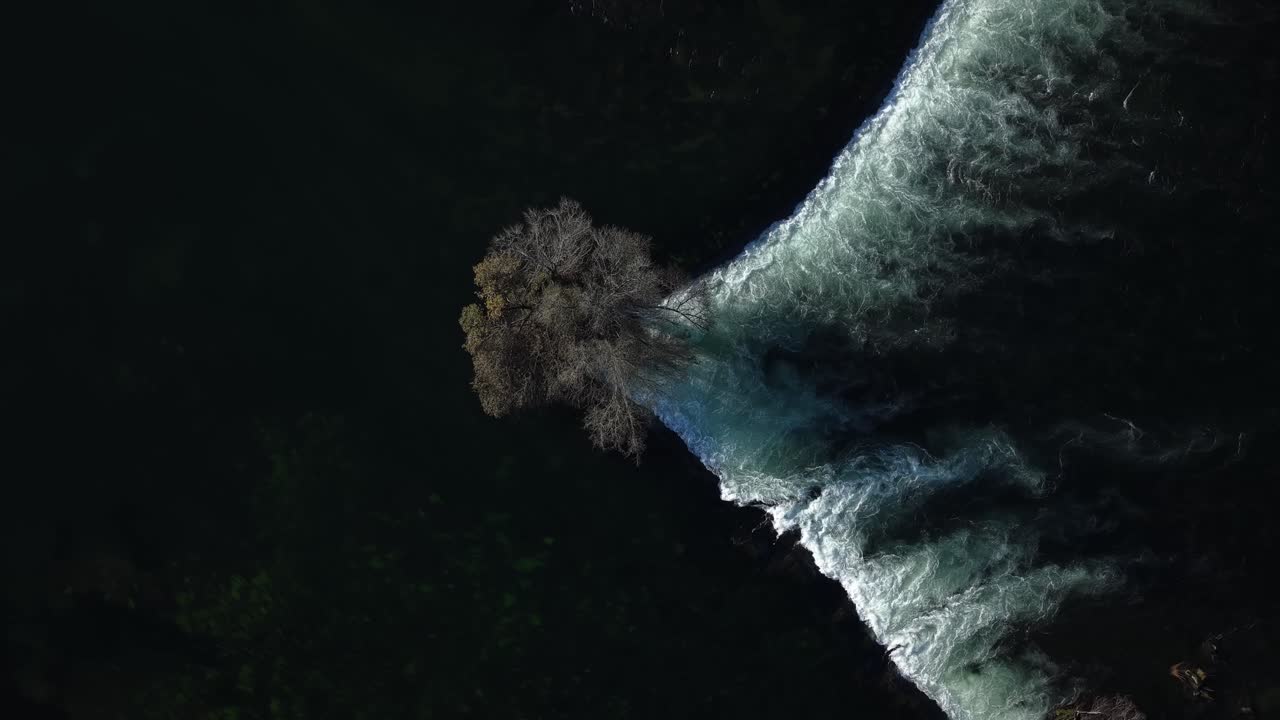 Foto estática de uma árvore no meio do rio