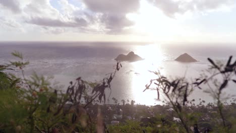 Hermosa-Caminata-Con-Vista-A-La-Playa-De-Hawai-Con-Un-Par-De-Pastilleros-En-La-Parte-Superior