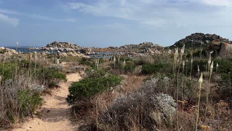 camino a través de la naturaleza salvaje de la isla francesa lavezzi entre córcega y cerdeña