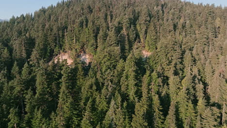 aerial footage flying over the evergreen forest towards the top of mountain in the morning in the cascades next to mount rainier