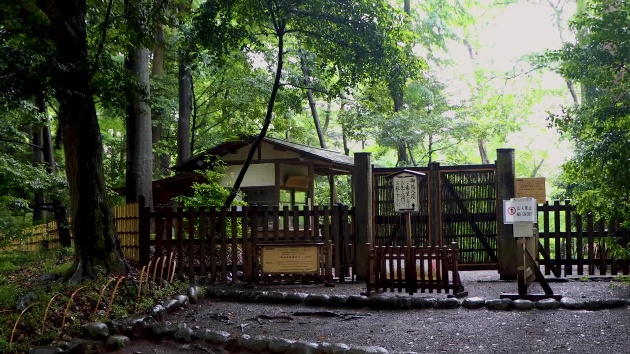 도쿄 최고의 전망