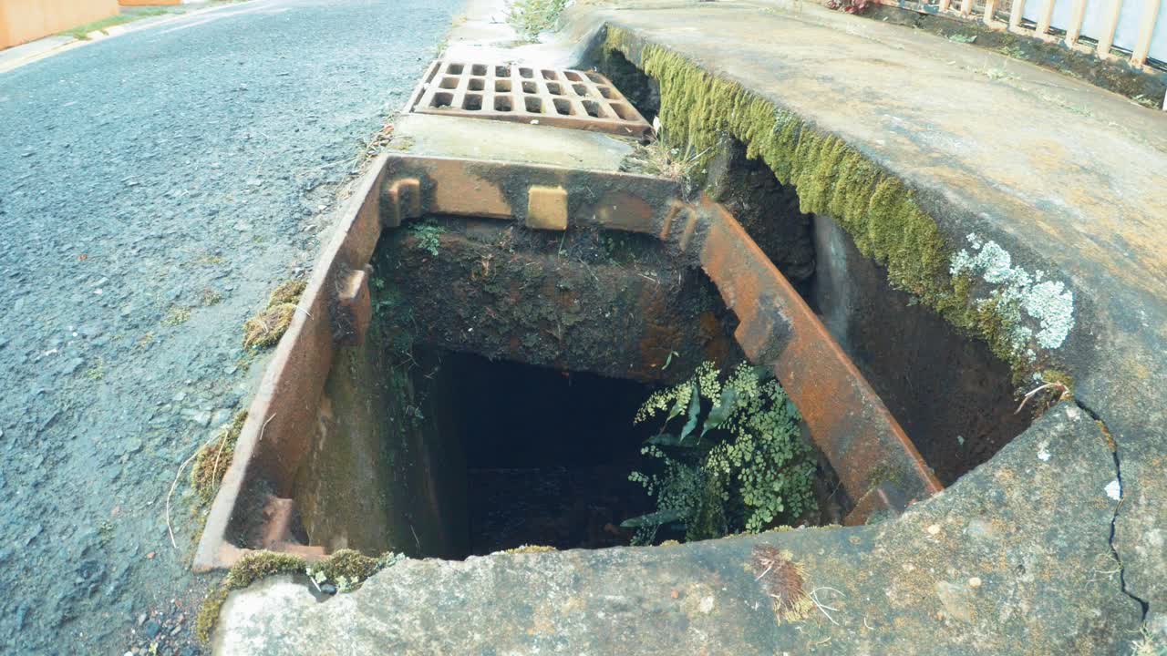연석에 곰팡이가 있는 하수구 그릴이 없습니다.