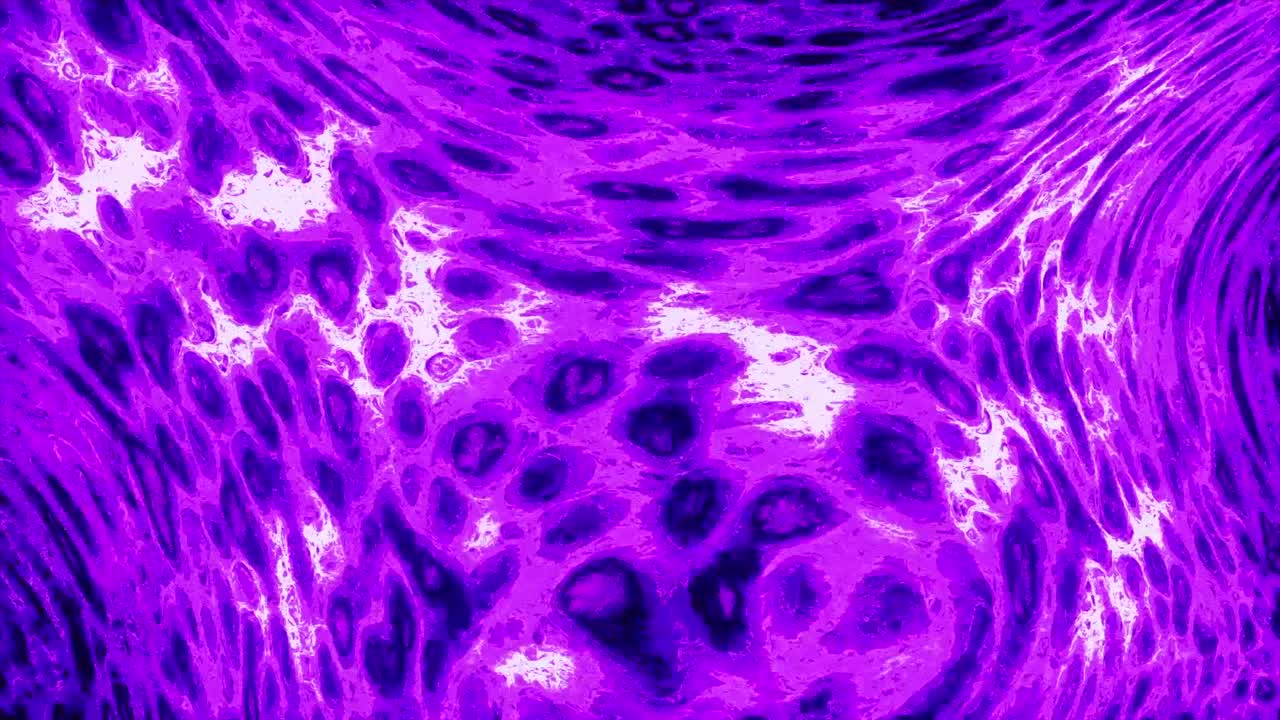 arte fluido abstracto púrpura y violeta