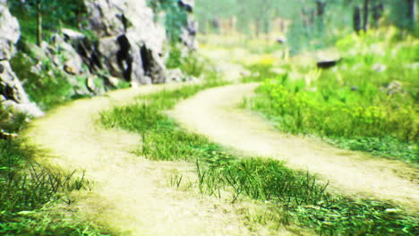 curving dirt path through green landscape surrounded by trees and rocks