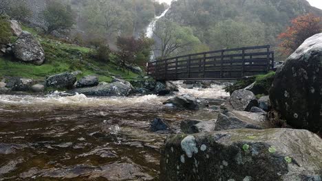 cascadas de agua que fluyen rápidamente a cámara lenta bajo un puente de madera desde la cascada del valle del bosque
