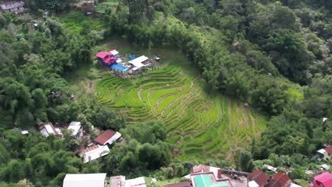 terrazas de arroz en nagalandia