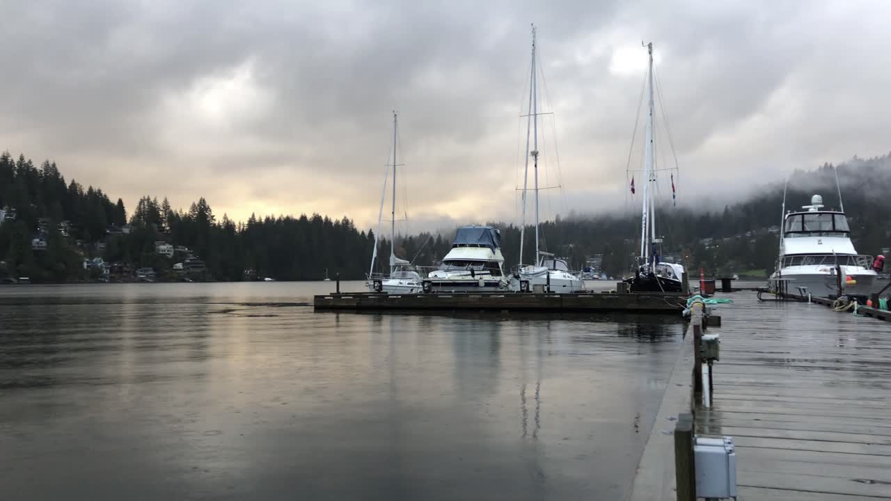 Boats and forest at marina on cloudy foggy day, panning long shot