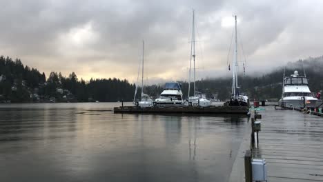 Boats-and-forest-at-marina-on-cloudy-foggy-day,-panning-long-shot