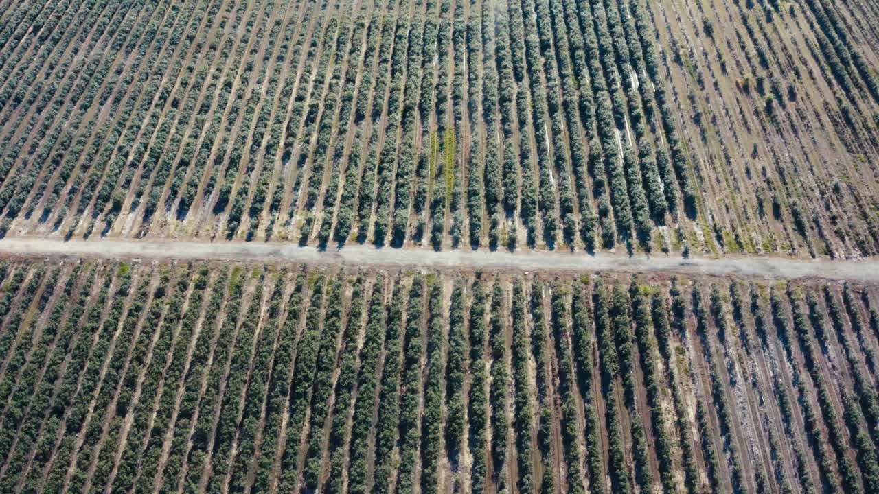 Aerial fly over cannabis marijuana farm processing plant at a gated bob wired road side on a hot sunny summer day in BC Canada for medicinal governemnt use regulated THC sativa Cannabaceae family 2-3