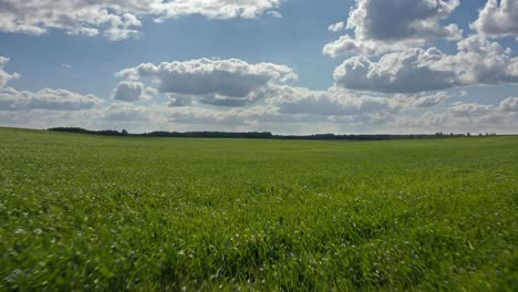 Vasto-Campo-Verde-Contra-El-Cielo-Azul-Nublado---Disparo-Aéreo-De-Drones