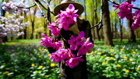 woman photographing spring flowers in a forest