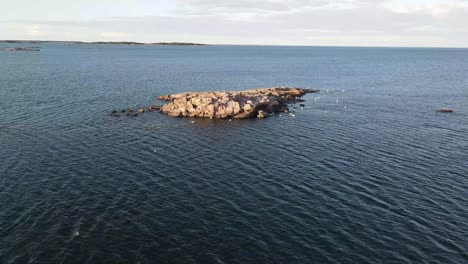 drone footage of swans swimming in the ocean near a rocky island