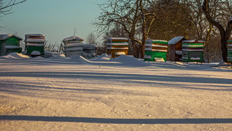 Man-made-Beehive-covered-in-thick-snow-in-a-cold-winter,-hibernating-bee-colony