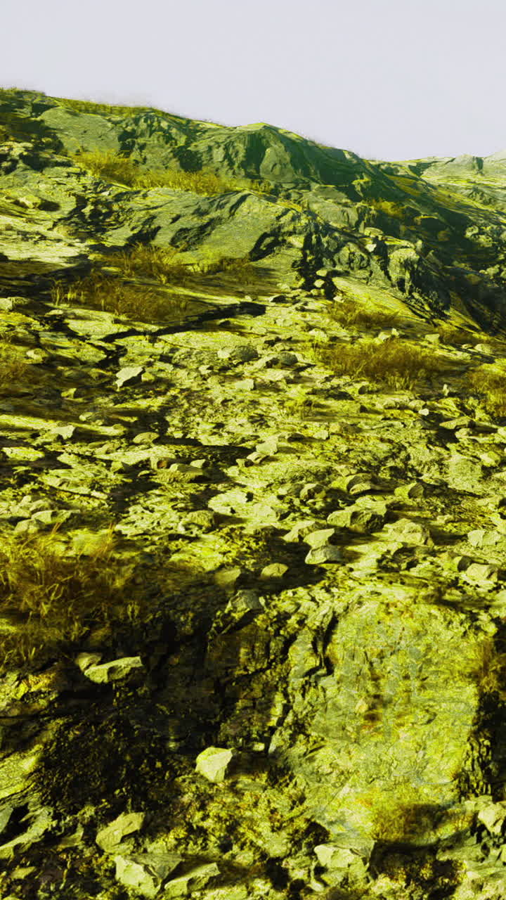 Paesaggio che mostra terreno roccioso sotto la luce intensa del giorno con vegetazione rada.