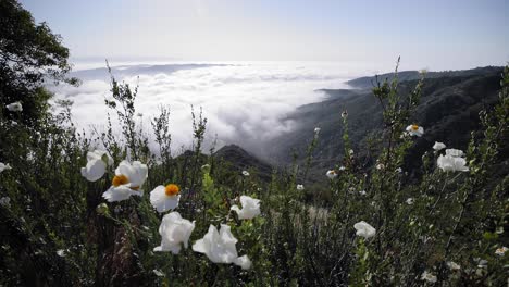 mountain overlook above the clouds