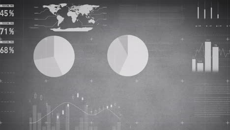 animación del procesamiento de datos estadísticos a través de la red de red contra un fondo gris