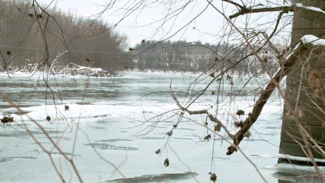 Ramas-De-Los-árboles-Colgando-Con-Un-Río-Cubierto-De-Nieve-En-El-Fondo