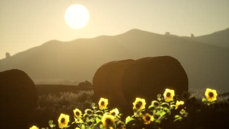 hay-bales-in-the-sunset