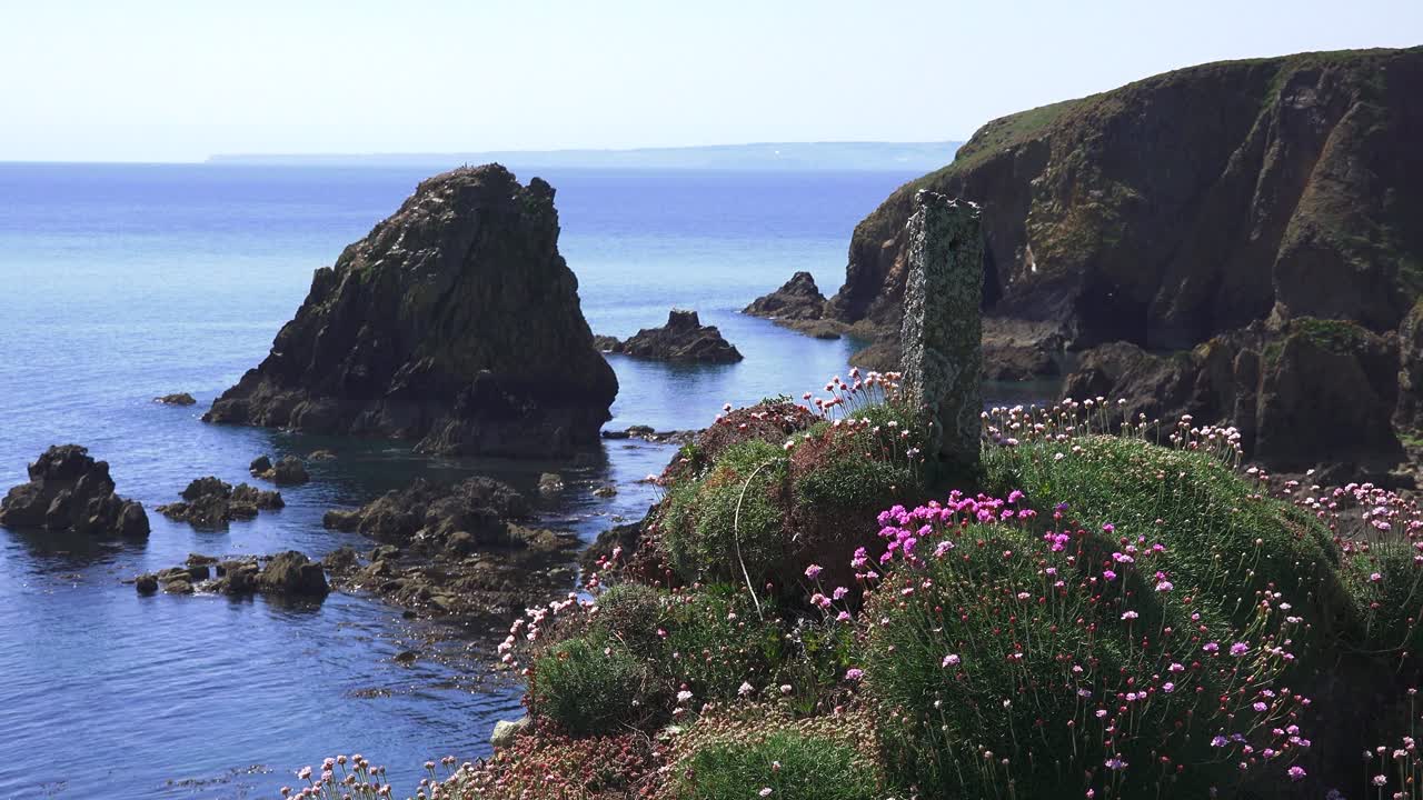 a tranquil morning sea view with sea pinks on The Copper Coast Waterford Ireland