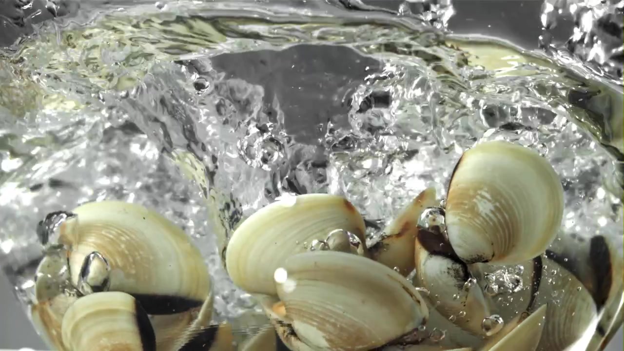 Fresh Clams Cooking and Opening in Boiling Water
