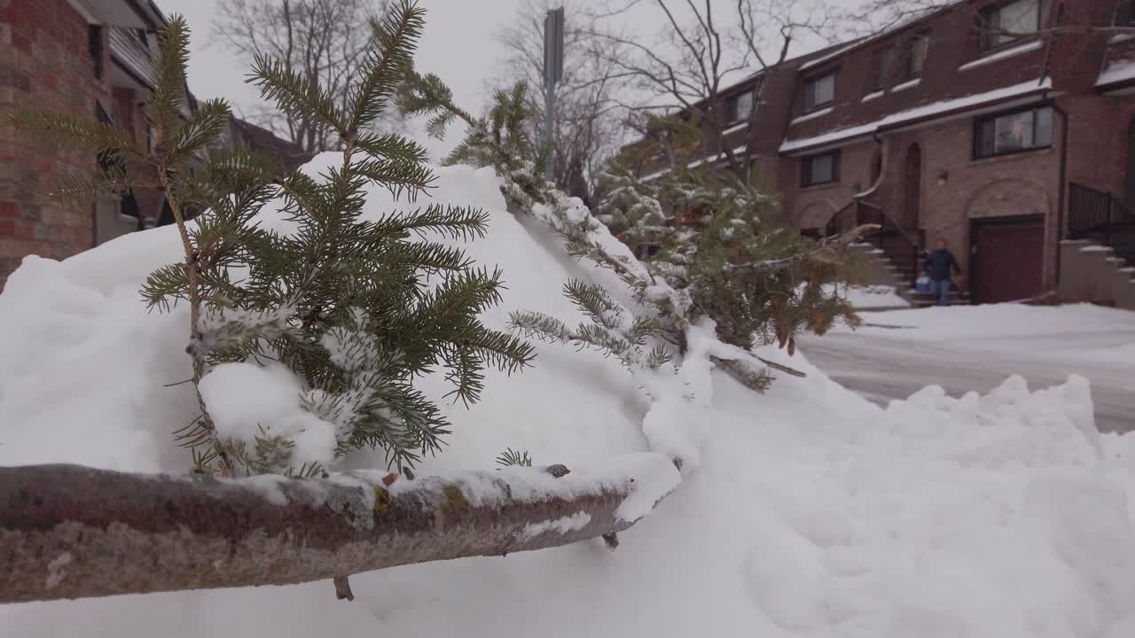 Christmas tree broken in a snow bank.
