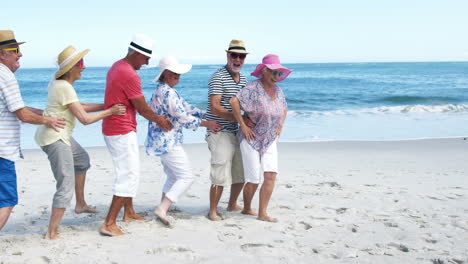 senior friends dancing on the beach