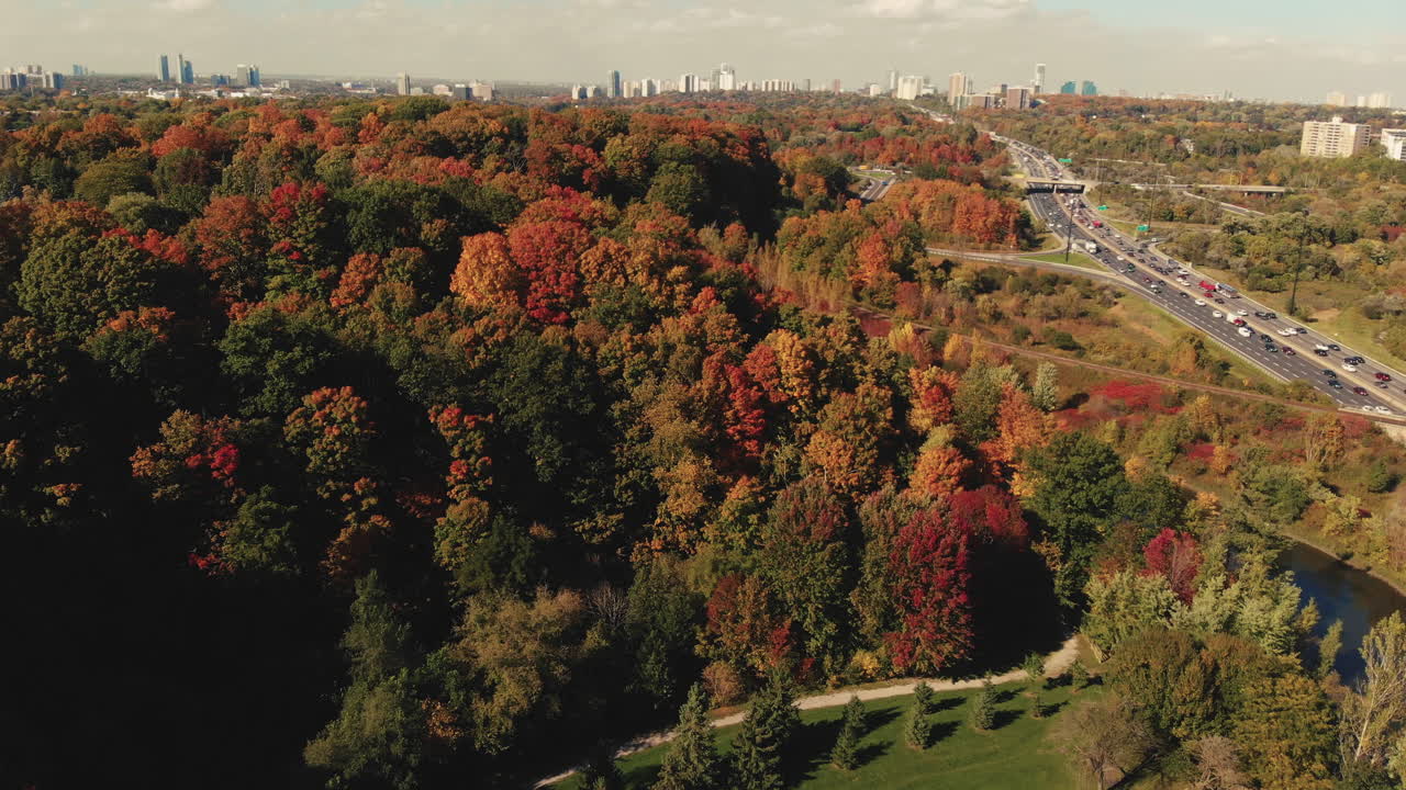 color de otoño sobre don valley parkway toronto ontario canadá
