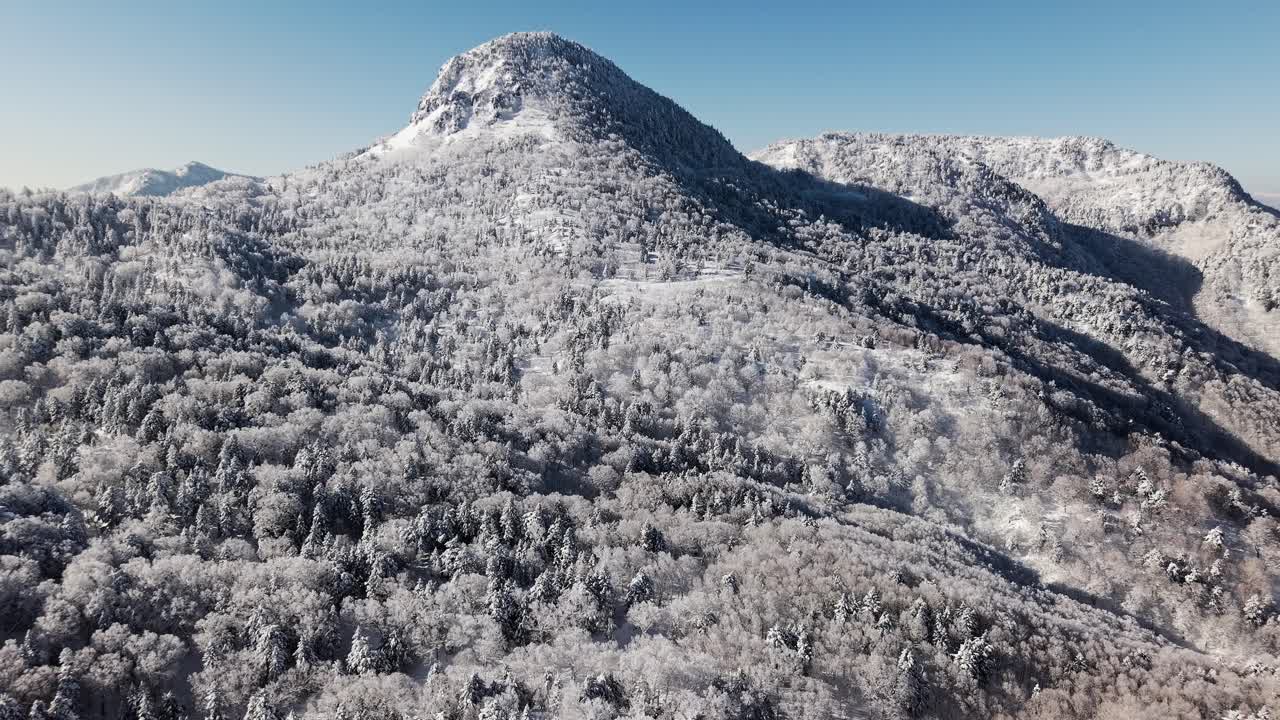 Scenic view of snowy peaks and frozen trees in the Japanese Alps on a sunny day
