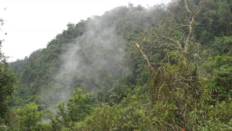 Vapor-Y-Niebla-De-Aguas-Termales-Que-Fluyen-De-La-Jungla