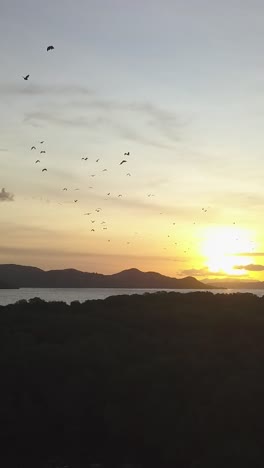 espectáculo nocturno de zorros voladores cerca de la isla de komodo, indonesia
