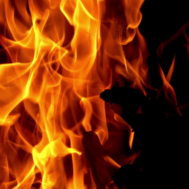 Fogata. El fuego está encendido por la noche. Llamas de fuego sobre fondo negro en cámara lenta.