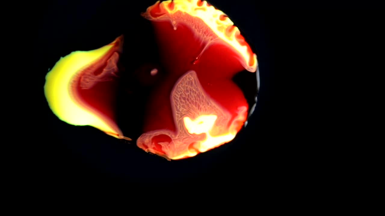 These magic mushrooms grow in the dark, these magic mushrooms glow in the dark, these magic mushrooms flow in the dark  -  an all natural AbstractVideoClip