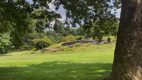 calm green sunny landscape with rocks at the ny botanical garden