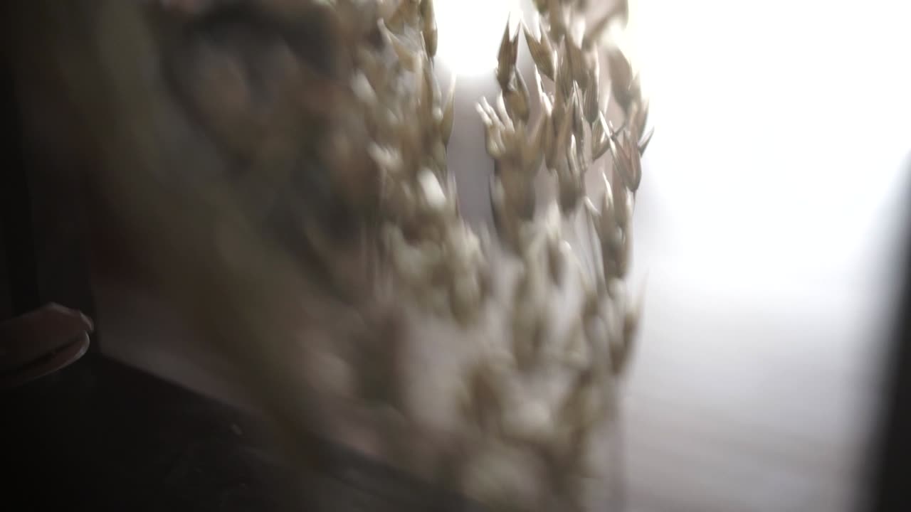 건조 밀 꽃받침