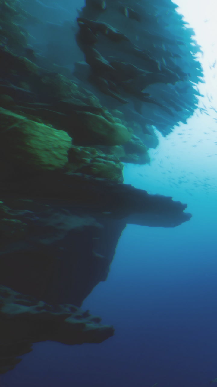 Underwater wonder of vibrant reefs and diverse sea life in blue depths