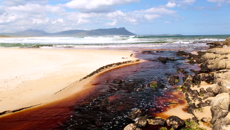 el agua de la laguna de kleinmond, rica en taninos marrones, desemboca en el océano en la desembocadura del río.