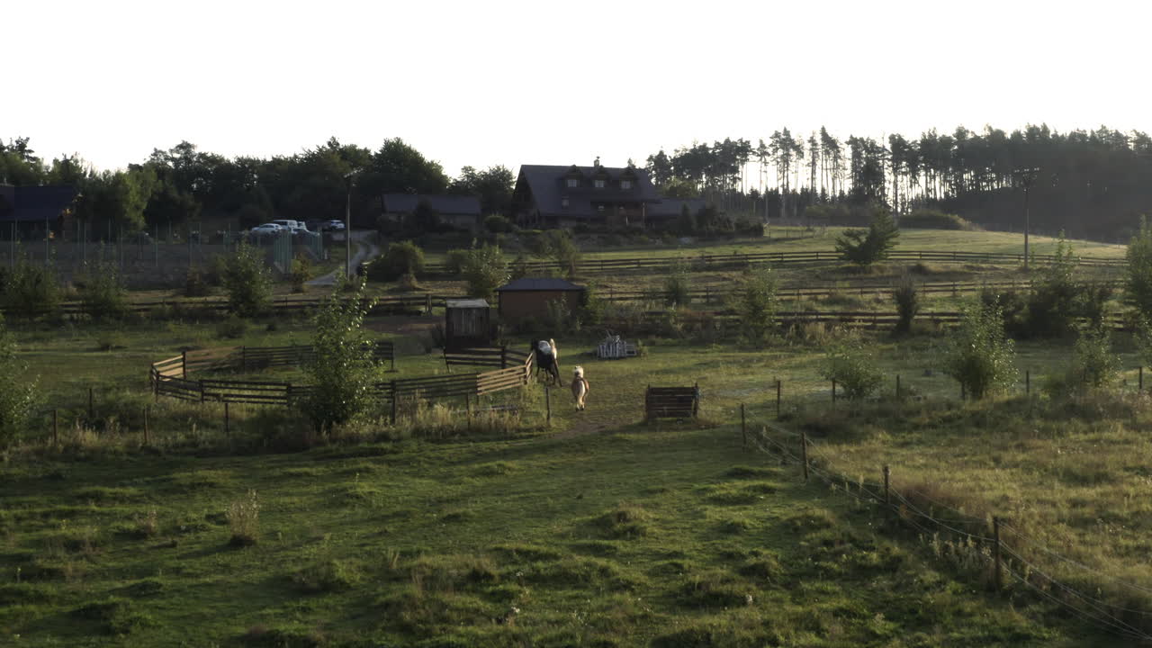 toma aérea de tres caballos corriendo en una hermosa finca rural al amanecer, república checa rural