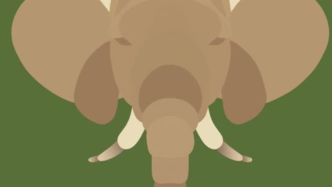 animation of head of elephant with tusks, on green background