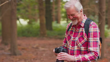 Un-Hombre-Mayor-Jubilado-Haciendo-Senderismo-En-El-Campo-Boscoso-Tomando-Fotos-Con-Una-Cámara-DSLR