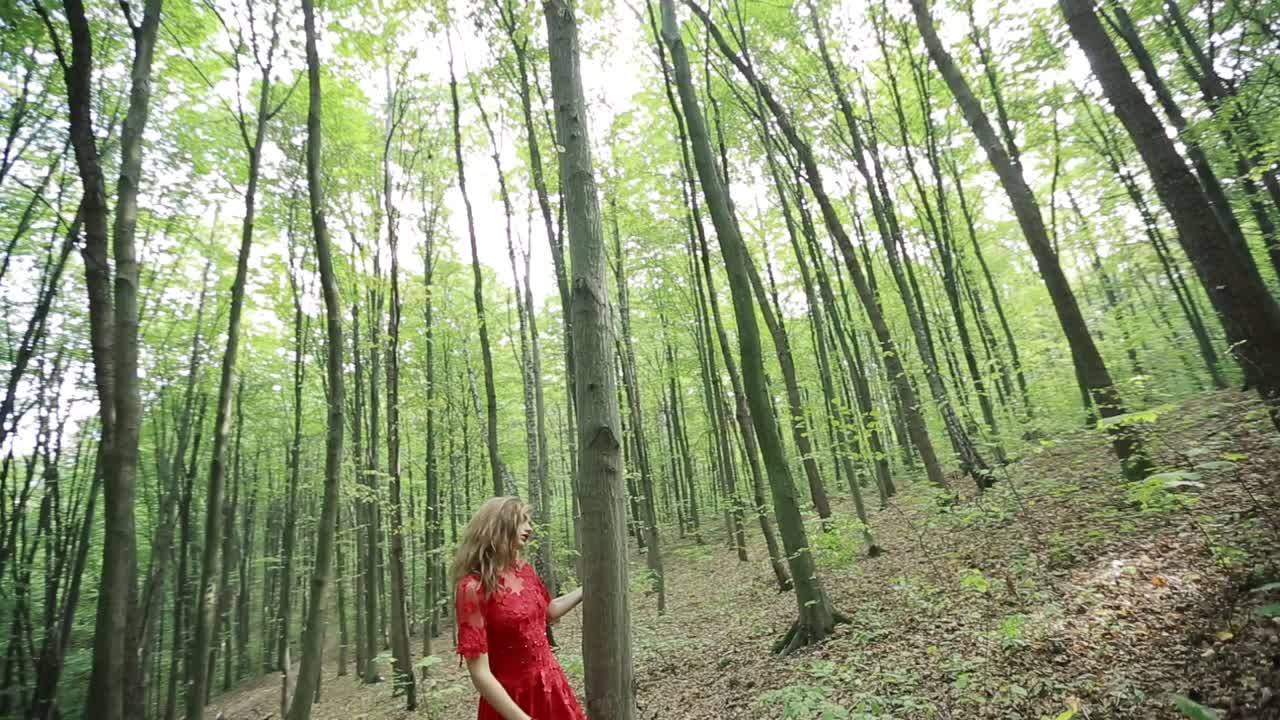 Beautiful Young Woman Walking On A Forest. Beautiful young woman wearing elegant red dress walking on a forest