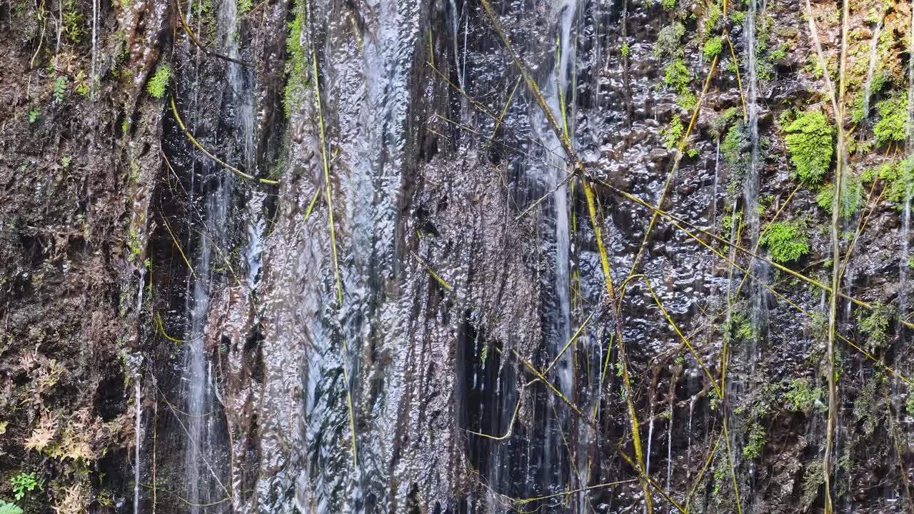 Steady water streams cascade over mossy rocks in lush forest, natural daylight, static camera