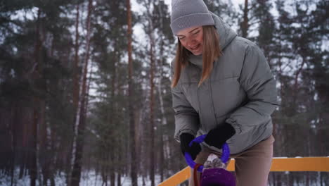 woman in gray winter coat plays tug-of-war with dog in purple outfit during snowy walk through forest. dog pulls on purple toy with leash hanging, showing joy, strength, and companionship outdoors